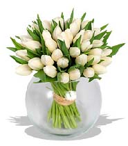 Белоснежные тюльпаны ― flowerful