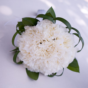 Гвоздичка ― flowerful