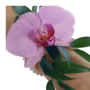 Орхидея на ручку ― flowerful
